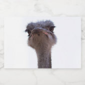 Étiquette Pour Bocaux autruche (Étiquettes simples)