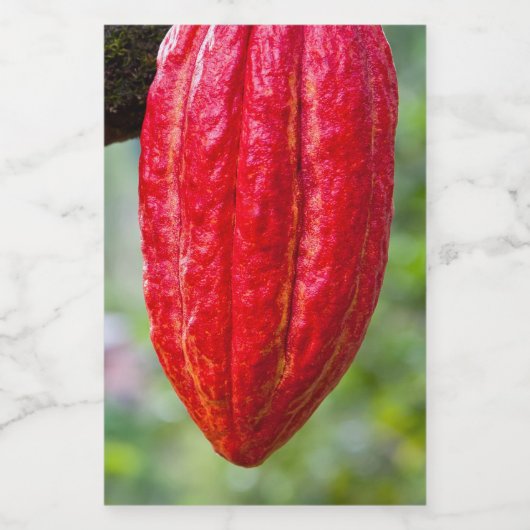 Étiquette Pour Bocaux cocod (Étiquettes simples)