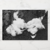 Étiquette Pour Bocaux duvet (Étiquettes simples)