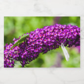 Étiquette Pour Bocaux énergie katydone (Étiquettes simples)