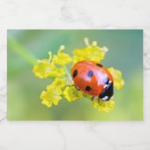 Étiquette Pour Bocaux femme au sommet (Étiquettes simples)