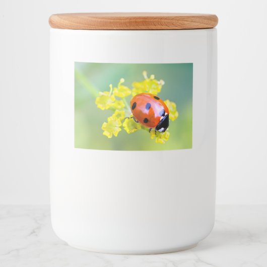 Étiquette Pour Bocaux femme au sommet (Devant)