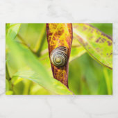 Étiquette Pour Bocaux fixation calme (Étiquettes simples)