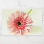 Étiquette Pour Bocaux Gerbera marguerite (Étiquettes simples)