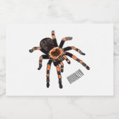 Étiquette Pour Bocaux Illustration de Tarantula (Étiquettes simples)