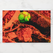 Étiquette Pour Bocaux mosquitus (Étiquettes simples)