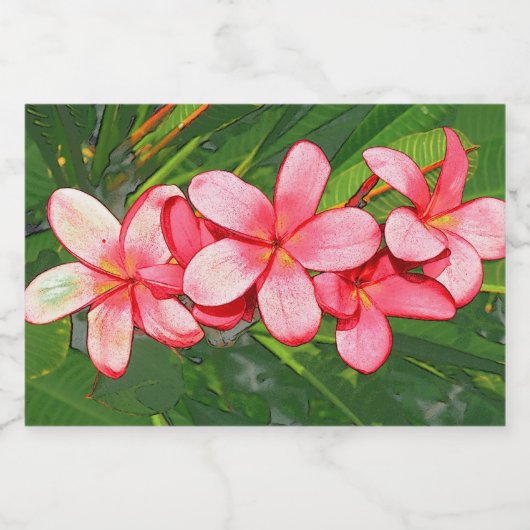 Étiquette Pour Bocaux Plumerias (Étiquettes simples)