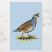 Étiquette Pour Bocaux Quail à échelle (Étiquettes simples)