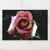 Étiquette Pour Bocaux rose (Étiquettes simples)