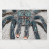 Étiquette Pour Bocaux tarantule bleue (Étiquettes simples)