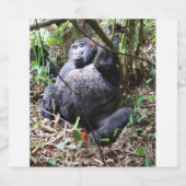 Étiquette Pour Bouteilles De Bière Afrique - Gorilla 3 (Étiquettes simples)