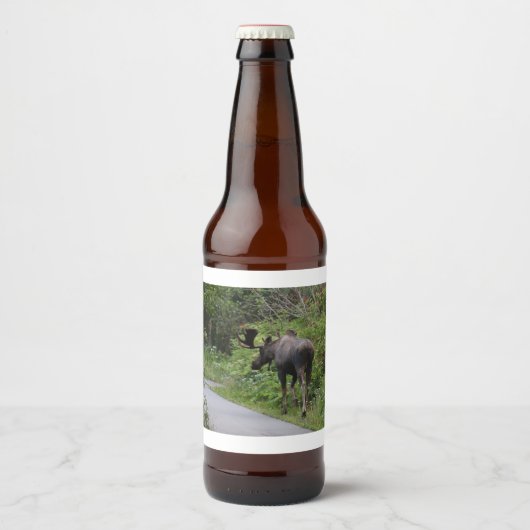 Étiquette Pour Bouteilles De Bière Alaska (Devant)