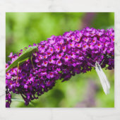 Étiquette Pour Bouteilles De Bière énergie katydone (Étiquettes simples)