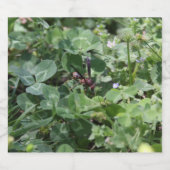 Étiquette Pour Bouteilles De Bière Étiquette de bouteille (Étiquettes simples)