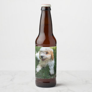 Étiquette Pour Bouteilles De Bière Photo Cavachon customisée, Chien