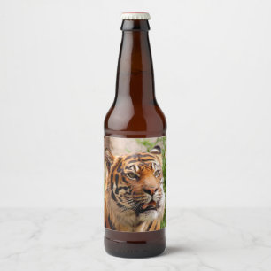 Étiquette Pour Bouteilles De Bière Tigre féroce