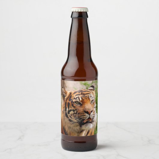 Étiquette Pour Bouteilles De Bière Tigres de fer (Devant)