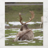 Étiquette Pour Bouteilles De Vin Antler (Étiquettes simples)
