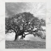 ÉTIQUETTE POUR BOUTEILLES DE VIN ARBRE DE CHÊNE LONE (Étiquettes simples)