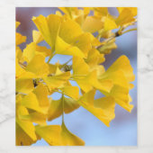 Étiquette Pour Bouteilles De Vin Arbre Ginkgo Feuille jaune (Étiquettes simples)