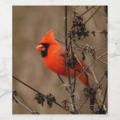 Étiquette Pour Bouteilles De Vin Beau Cardinal du Nord (Étiquettes simples)