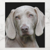 Étiquette Pour Bouteilles De Vin Beau Weimaraner chasse chien (Étiquettes simples)