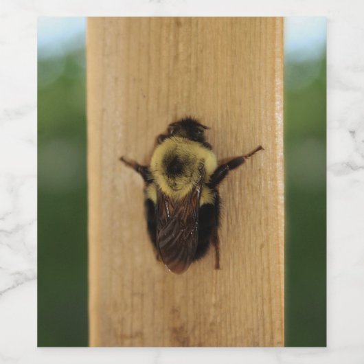 Étiquette Pour Bouteilles De Vin Bee-zilla (Étiquettes simples)