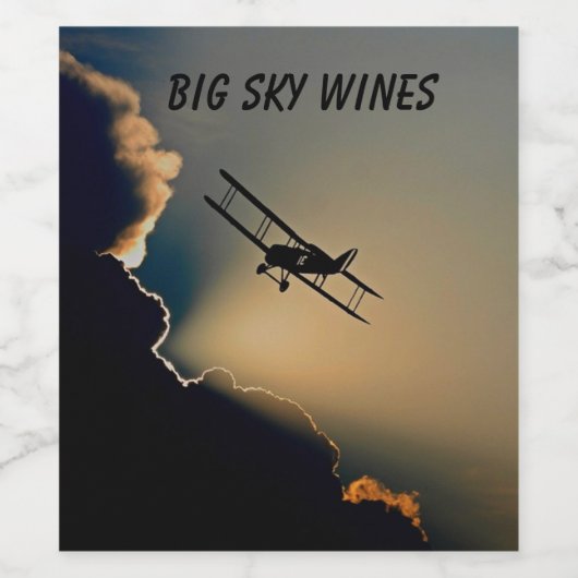 Étiquette Pour Bouteilles De Vin Bi Plane Sky (Étiquettes simples)