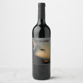 Étiquette Pour Bouteilles De Vin Bi Plane Sky (Devant)