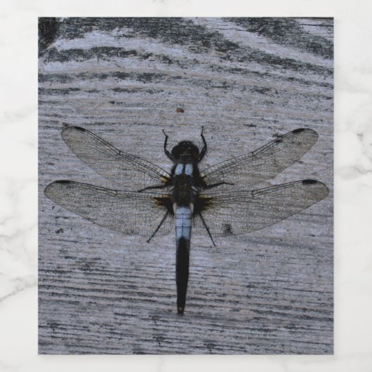 Étiquette Pour Bouteilles De Vin Bleu (Étiquettes simples)