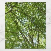 Étiquette Pour Bouteilles De Vin Canopée du printemps Feuille Green Nature Scene (Étiquettes simples)