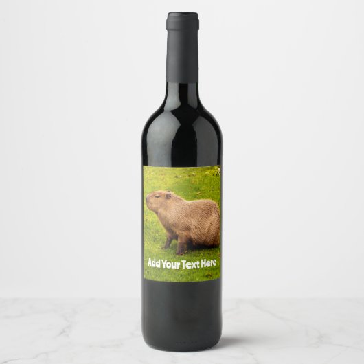 Étiquette Pour Bouteilles De Vin Capybara (Devant)