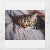 Étiquette Pour Bouteilles De Vin Cat (Étiquettes simples)
