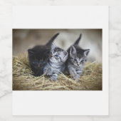 Étiquette Pour Bouteilles De Vin Cat (Étiquettes simples)