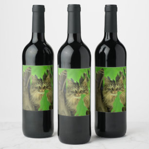 Étiquette Pour Bouteilles De Vin Chat à coon du Maine dans l'arbre