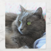 Étiquette Pour Bouteilles De Vin Chat Nebelung (Étiquettes simples)