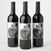 Étiquette Pour Bouteilles De Vin Cheval mignon devant une grange (Bouteilles)