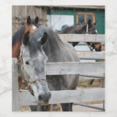 Étiquette Pour Bouteilles De Vin Chevaux mignons sur une ferme (Étiquettes simples)