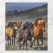 Étiquette Pour Bouteilles De Vin Chevaux sauvages (Étiquettes simples)