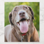 Étiquette Pour Bouteilles De Vin Chocolate Labrador Dog (Étiquettes simples)