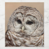 Étiquette Pour Bouteilles De Vin Chouette barrée (Étiquettes simples)