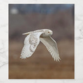 Étiquette Pour Bouteilles De Vin Chouette neige en vol (Étiquettes simples)