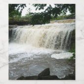 Étiquette Pour Bouteilles De Vin Chutes Shidler (Étiquettes simples)