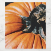Étiquette Pour Bouteilles De Vin Citrouille (Étiquettes simples)