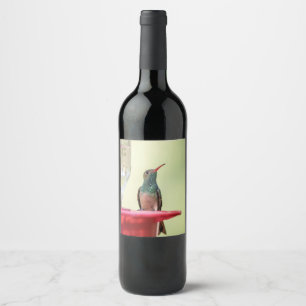 Étiquette Pour Bouteilles De Vin Colibri à ventre cassé au Texas