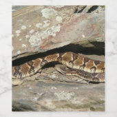 Étiquette Pour Bouteilles De Vin Crotale dans le parc national de Shenandoah (Étiquettes simples)