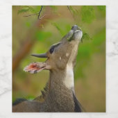 Étiquette Pour Bouteilles De Vin Custom deer (Étiquettes simples)