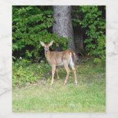 Étiquette Pour Bouteilles De Vin Cute Deer (Étiquettes simples)