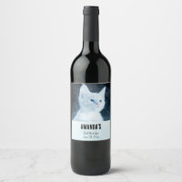 Cute Kitten blanc avec Jolie fête des yeux bleus