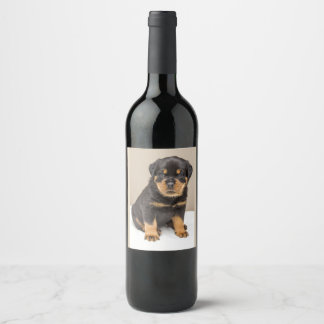 Étiquette Pour Bouteilles De Vin Cute Rottweiler Puppy